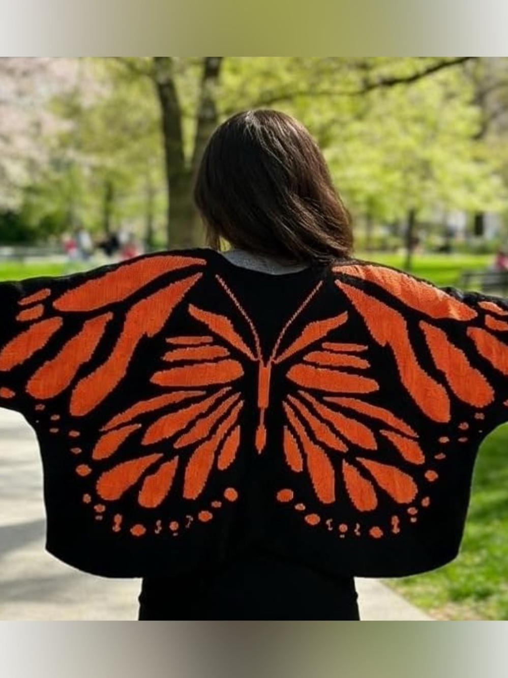 Butterfly Sweater 🦋